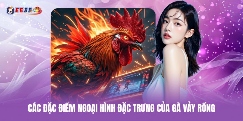 Các đặc điểm ngoại hình đặc trưng của gà vảy rồng cac-dac-diem-ngoai-hinh-dac-trung-cua-ga-vay-rong