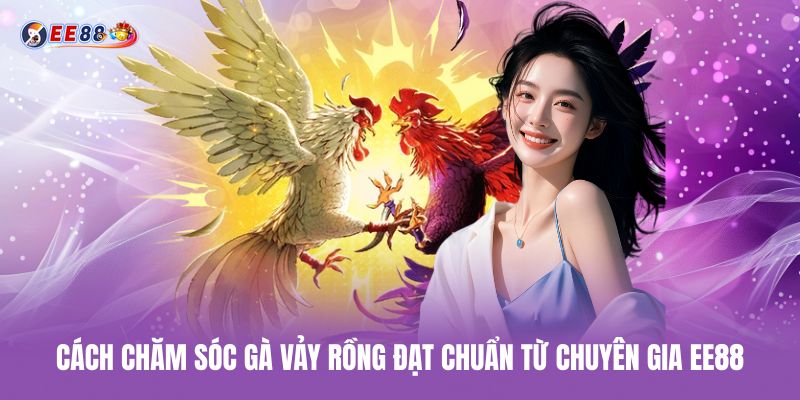 Cách chăm sóc gà vảy rồng đạt chuẩn từ chuyên gia ee88 cach-cham-soc-ga-vay-rong-dat-chuan-tu-chuyen-gia-ee88